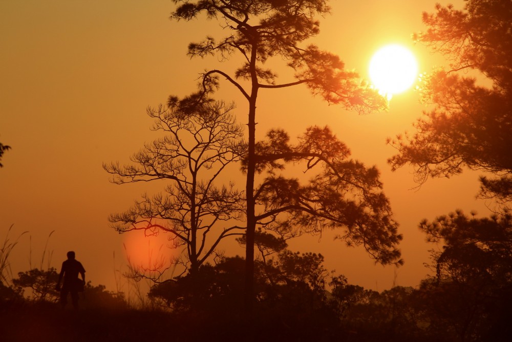 ปลายฝนของคนชอบของสูง ทุ่งแสลงหลวง จุดหมายต้องไปเยือนในช่วงปลายฝนต้นหนาว