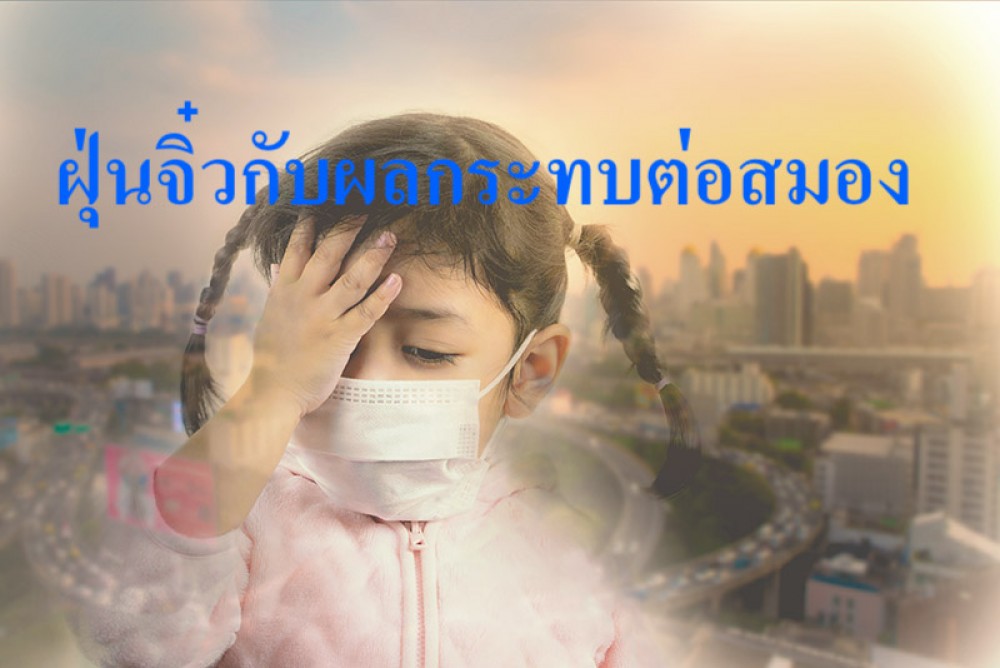 PM2.5 "ฝุ่นจิ๋ว" ที่ไม่จิ๋วกับผลกระทบทางสมอง