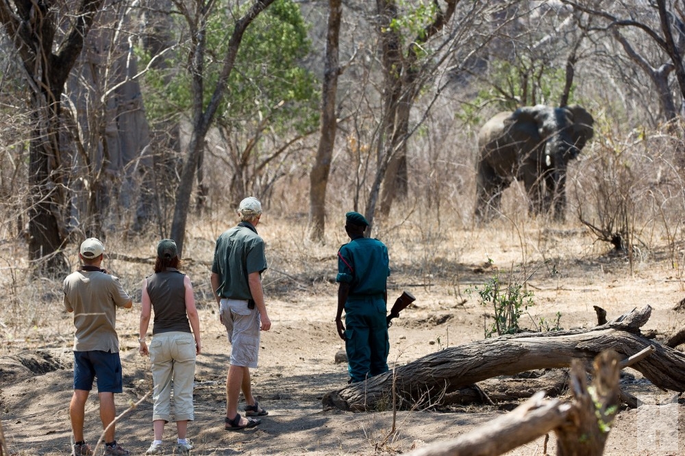 Walking Safari ที่มาลาวี เปิดตาให้กว้างปิดปากให้สนิท