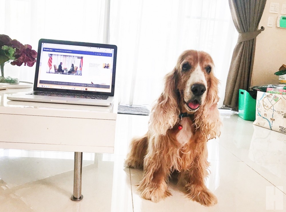8 เคล็ดลับ Work from Home