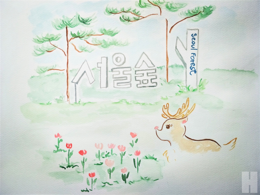 ตามรอยไอดอล เกาหลี