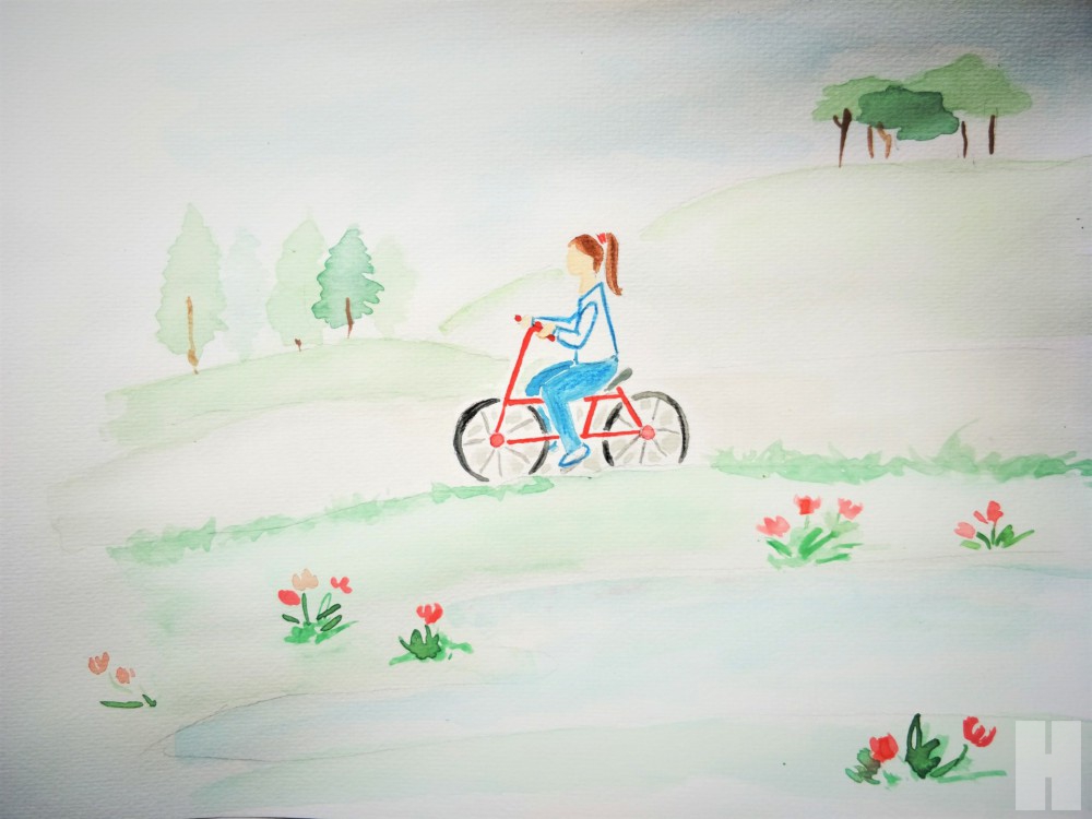 ชวนไปตามหาเก้าอี้ ที่โซล ฟอเรสต์