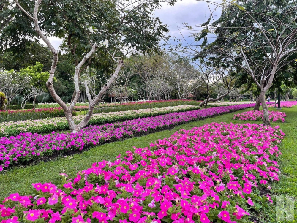 Rama 9 park 