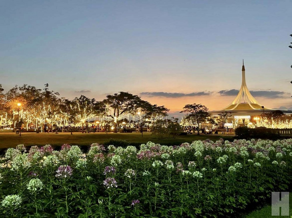 ปีละครั้งเที่ยวงานพรรณไม้งามอร่าม สวนหลวง ร.๙ ชมดอกไม้บานสะพรั่งทุกแปลงกว่า 7 แสนต้น