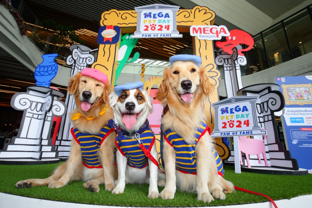 เมกาบางนา ชวนครอบครัวและเหล่าตัวแสบสี่ขา เสพงานศิลป์ ป่วนงานอาร์ต ในงาน MEGA PET DAY 2024 : PAW OF FAME 