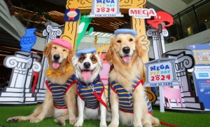 เมกาบางนา ชวนครอบครัวและเหล่าตัวแสบสี่ขา เสพงานศิลป์ ป่วนงานอาร์ต ในงาน MEGA PET DAY 2024 : PAW OF FAME 