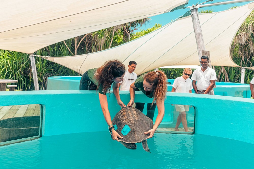 โซเนวา และ Olive Ridley ร่วมเปิดศูนย์ฟื้นฟูเต่าทะเล คืนเต่าทะเลที่ได้รับบาดเจ็บสู่ธรรมชาติอย่างยั่งยืน