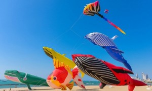 ของดีมีปีละครั้ง เทศกาลว่าวนานาชาติ Pattaya International Kite on the Beach 2025 ปักหมุด 26 ก.พ.–2 มี.ค.นี้