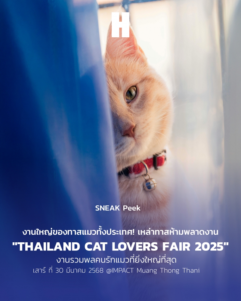 Thailand Cat Fair