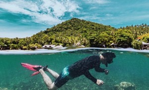 เริ่มแล้ว! Spotlight Koh Tao 2025 เทศกาลท่องเที่ยวเกาะเต่าหัวใจยั่งยืน