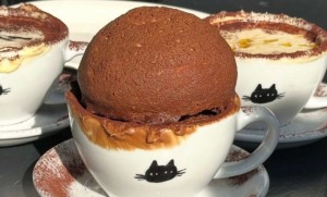 Standard Bun บุกสยาม เตรียมพบคาเฟ่ขนมบันเกาหลีสุดปัง มัดใจสายหวาน & สายแมว
