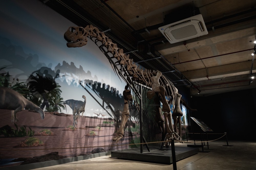 Journey Back in Time: "THAINOSAUR" Roars to Life at Museum Pier!