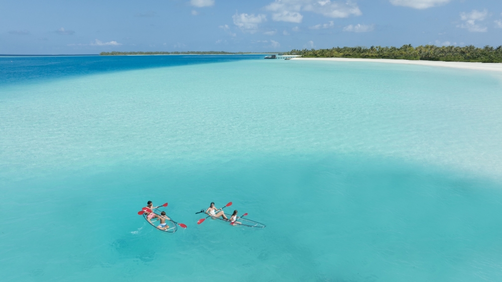 travel trend