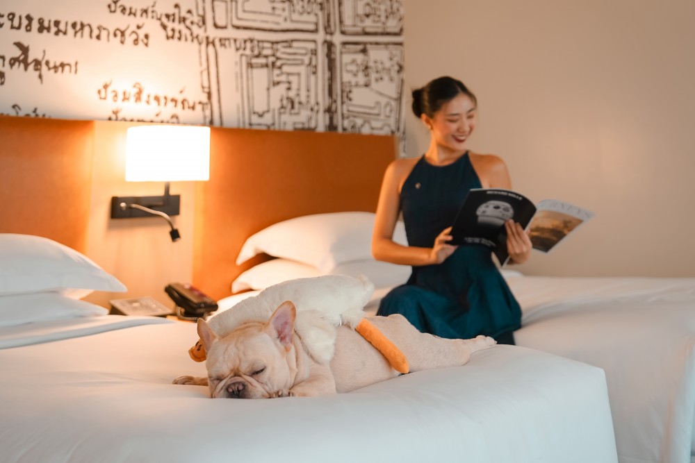 โรงแรมอวานี รัชดา ต้อนรับน้องหมาน้องแมวเข้าพักตอบโจทย์พลพรรค Pet-lover