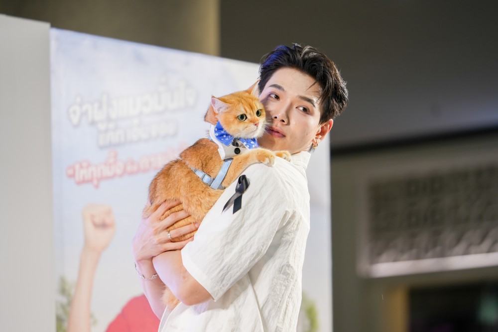 ‘ต้าห์อู๋’ นำทัพเหล่า ‘ไดโน่’ ฟินและเอ็นจอยทั้งคนและน้องแมว