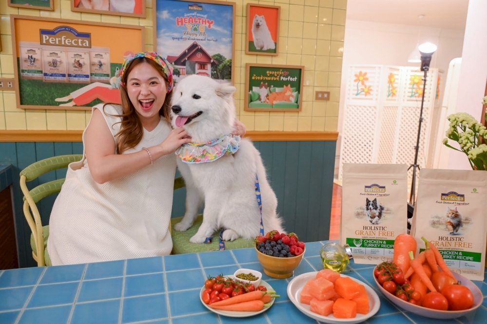 อาหารหมาแมว 