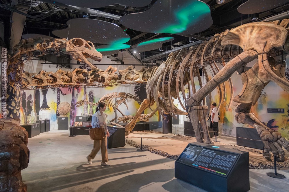 THAINASAUR MUSEUM เปิดแล้ววันนี้ที่เอเชียทีค