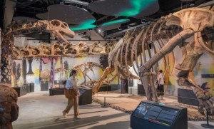 THAINASAUR MUSEUM เปิดแล้ววันนี้ที่เอเชียทีค