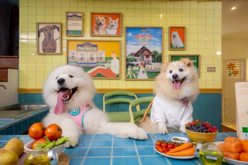 ทาสจ๋า เจ้านายหิว