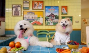 ทาสจ๋า เจ้านายหิว