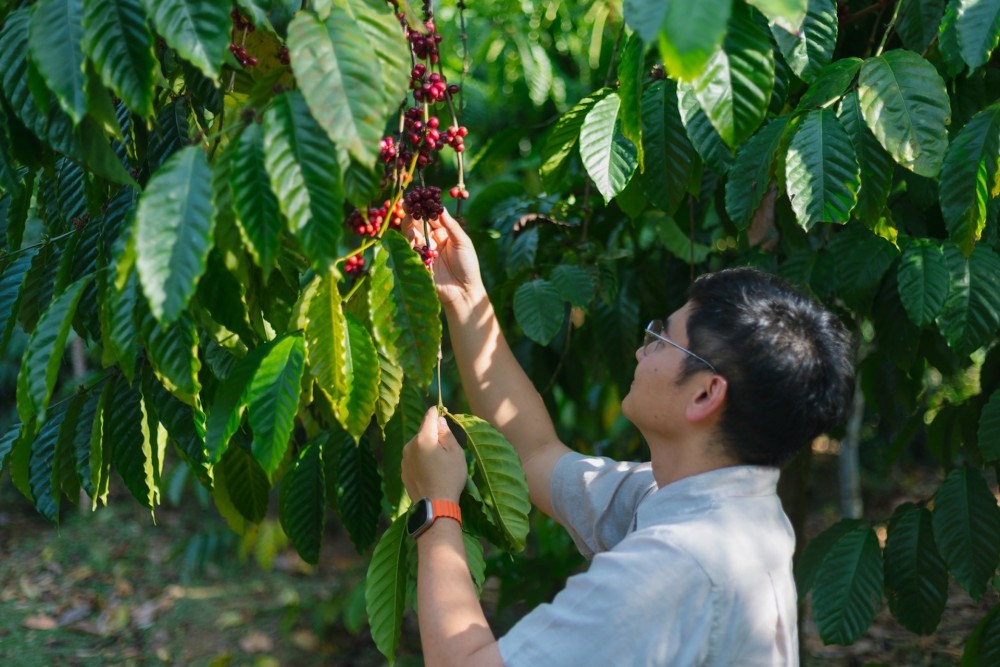 จิรวัฒน์ วิระพรสวรรค์ สถาปนิกที่กลับบ้าน และเลือกปลุกตำนาน “เขาช่อง” ให้มีชีวิตอีกครั้ง