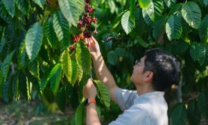 จิรวัฒน์ วิระพรสวรรค์ สถาปนิกที่กลับบ้าน และเลือกปลุกตำนาน “เขาช่อง” ให้มีชีวิตอีกครั้ง