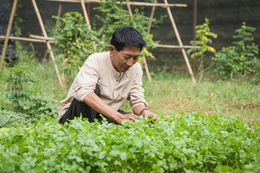 วุฒิศักดิ์ วุฒิอำพร เชฟผู้สร้างสรรค์จานศิลป์แห่ง Khao Yai Art Forest