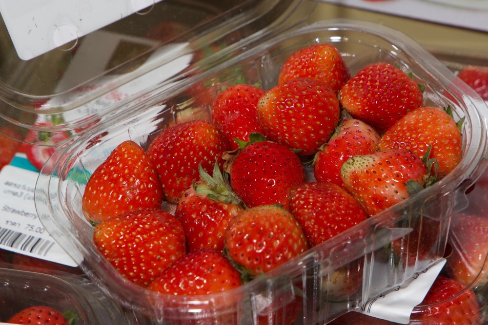 Royal Project Gastronomy Festival 2026 เทศกาลอาหารโครงการหลวง กลับมาที่สยามพารากอน