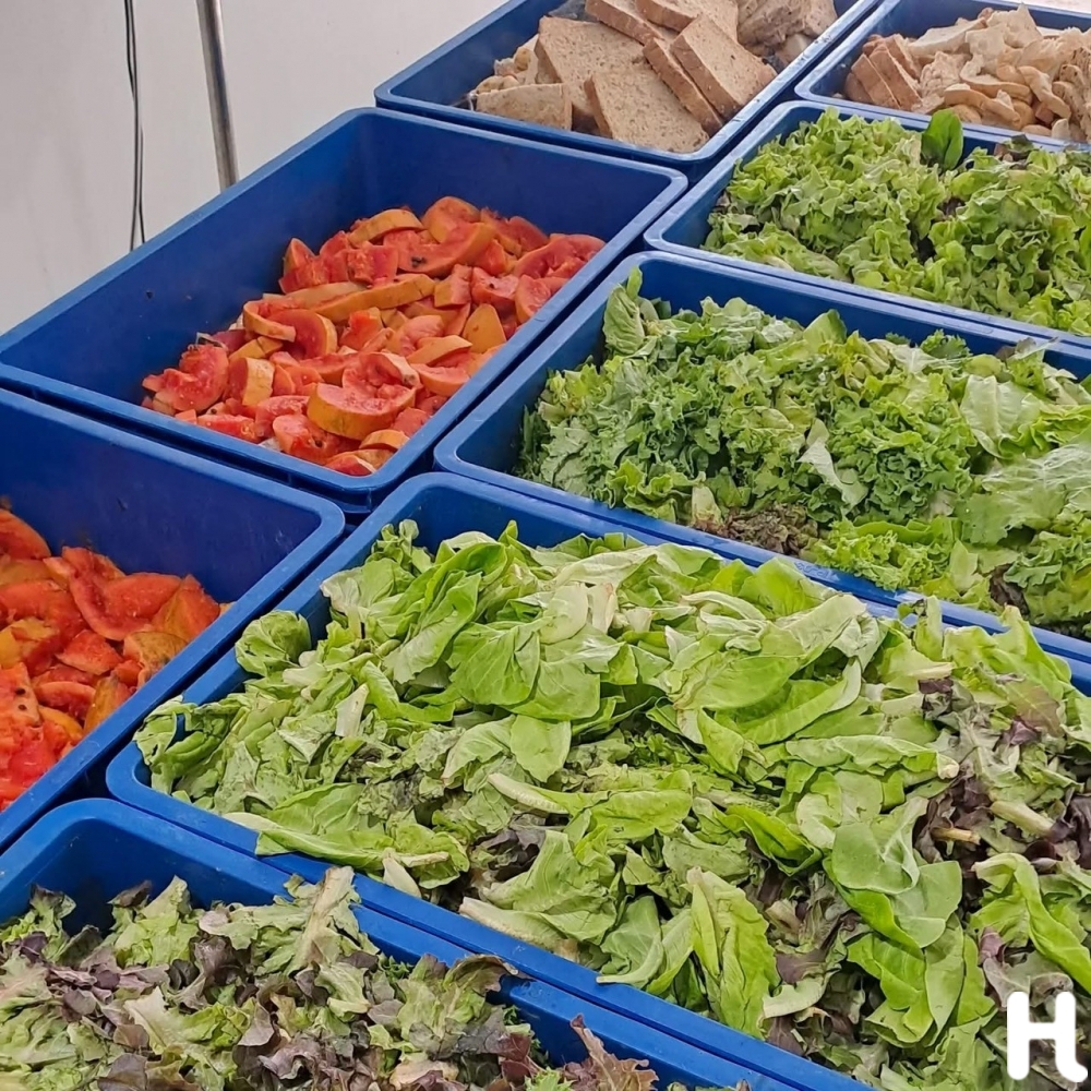 food waste management - Jaikhla