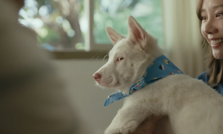 เบื้องหลังที่ทำให้รัก "โกฮัง หัวใจโกโฮม" มากขึ้นไปอีก