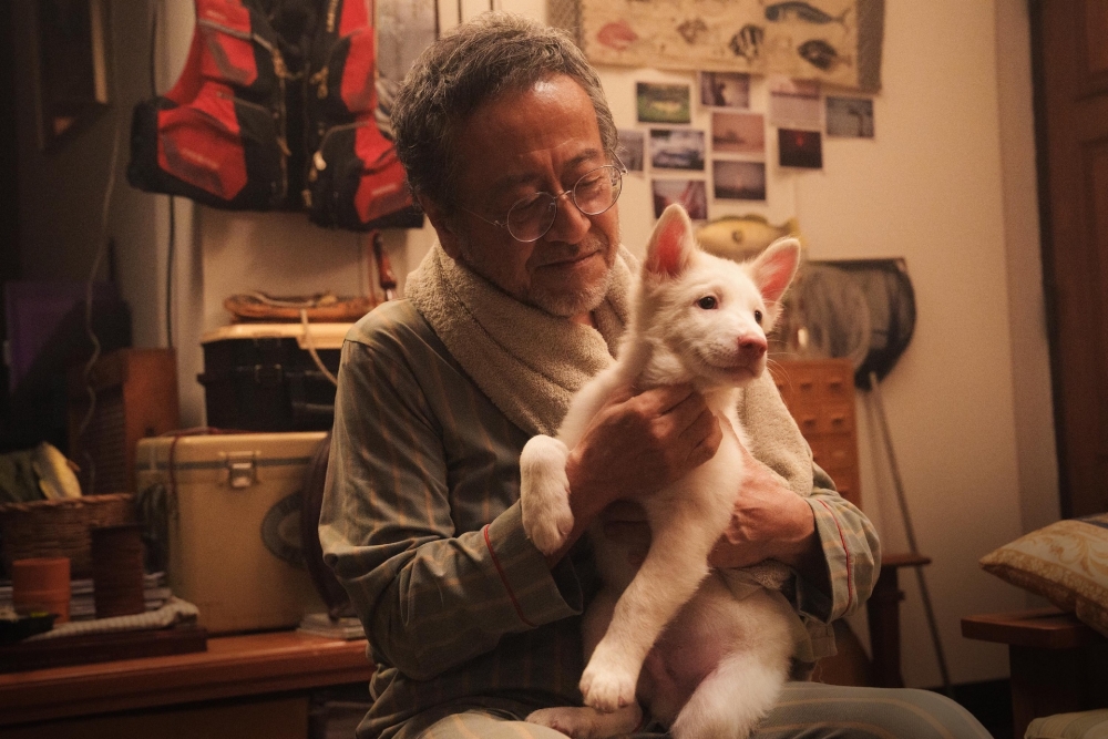 โกฮัน...หัวใจโกโฮม