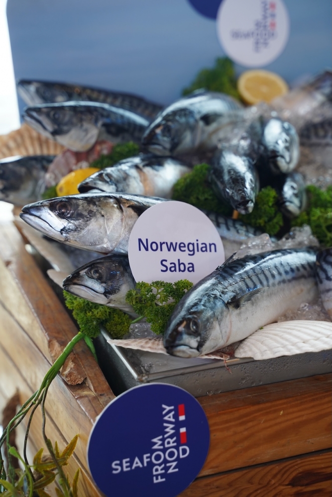 Norwegian Saba -superfood