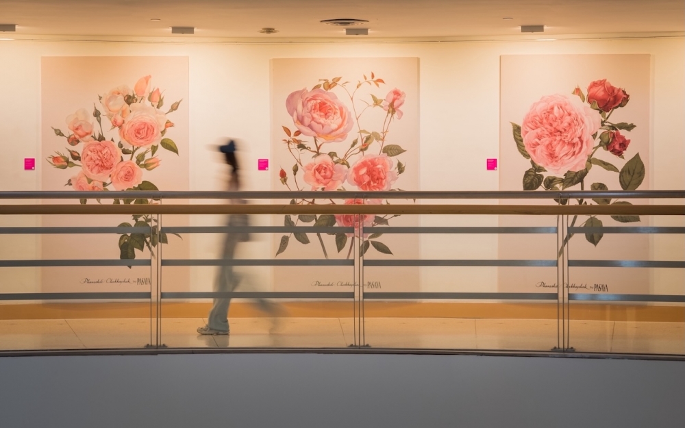 PASAYA พันธุ์ศักดิ์ จักกะพาก