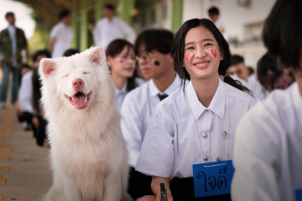 ​​Gohan The Movie (2026)​