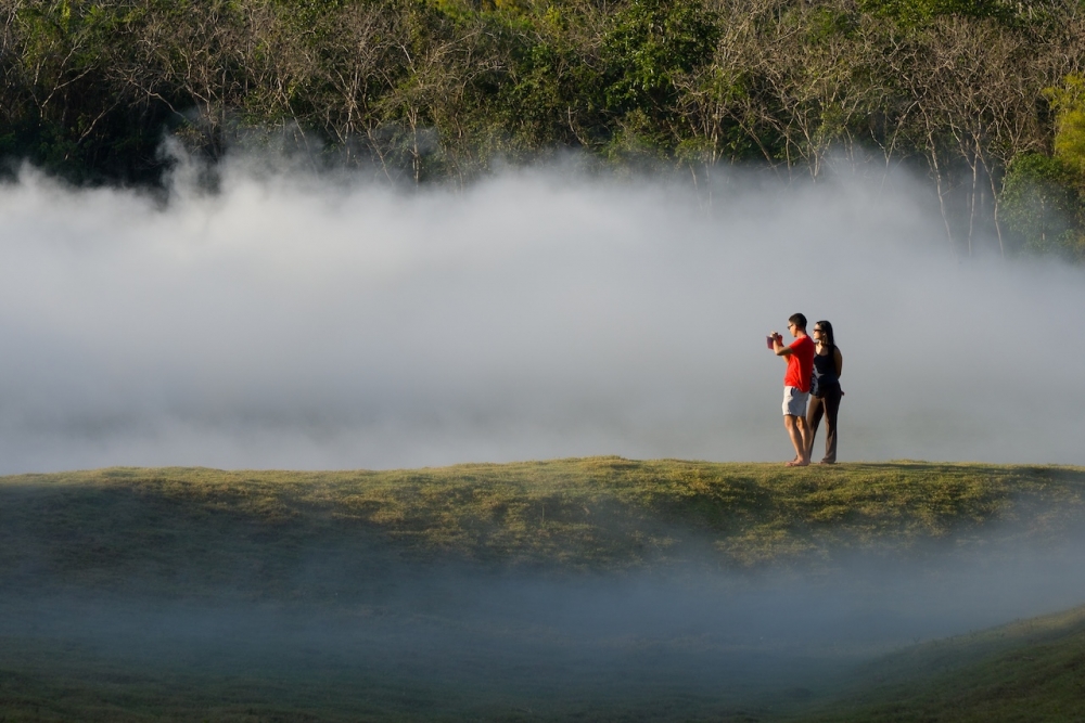 Khao Yai Art Forest - Fog Forest installation