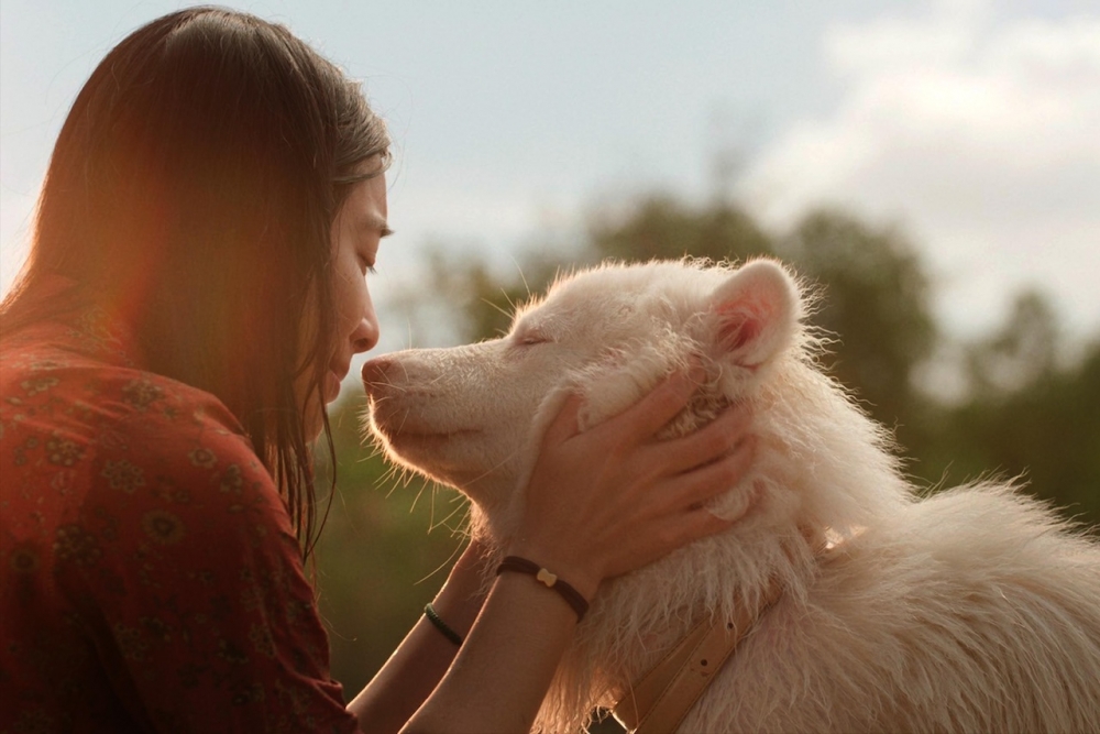 โกฮัน...หัวใจโกโฮม