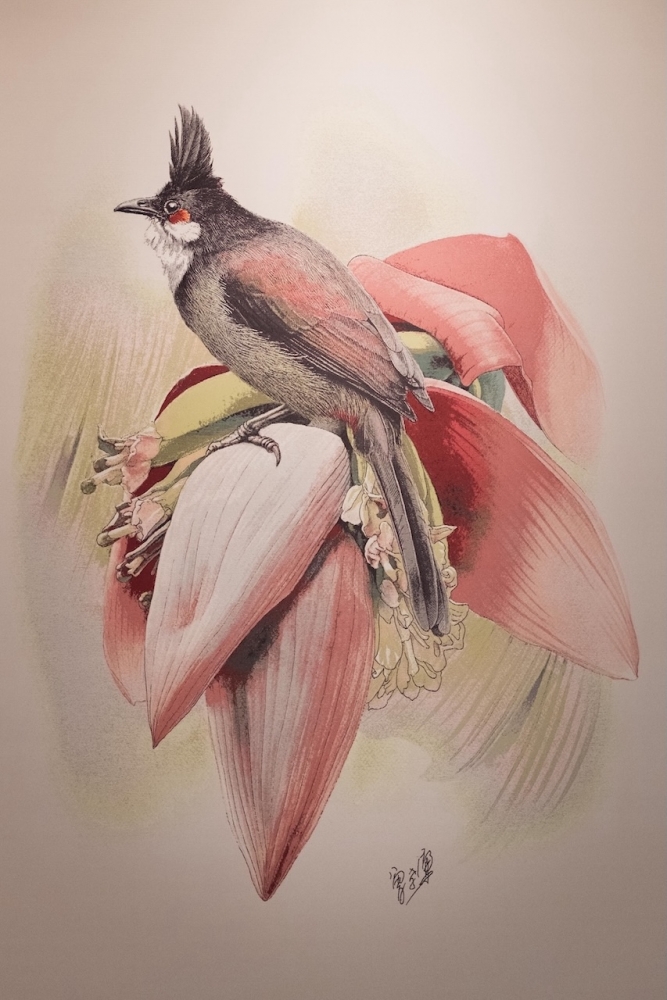 นกปรอดหัวโขน งานนิทรรศการ pasaya