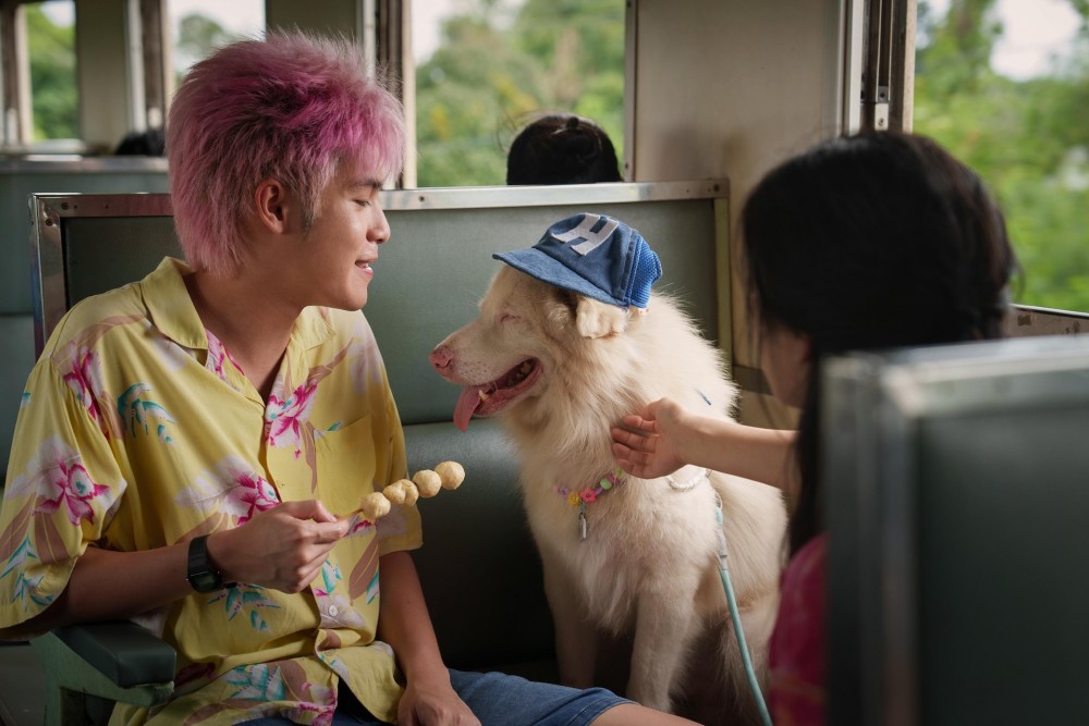 โกฮัง..หัวใจโกโฮม: หนังหมาที่หมาไม่ตาย แต่คนดูใจละลายจนน้ำตาไหล