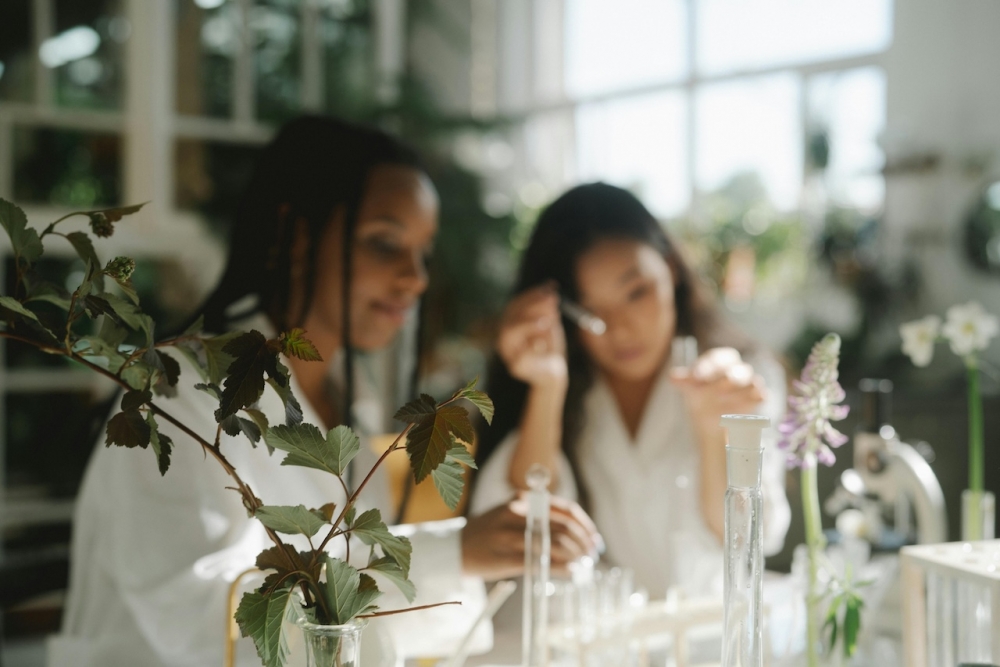 wellness research
